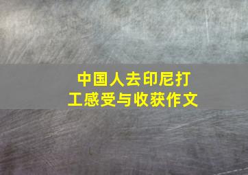 中国人去印尼打工感受与收获作文