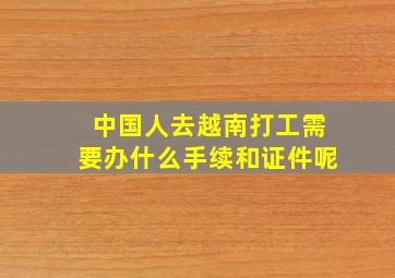 中国人去越南打工需要办什么手续和证件呢