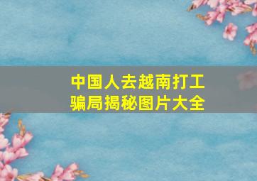 中国人去越南打工骗局揭秘图片大全