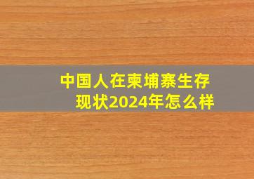 中国人在柬埔寨生存现状2024年怎么样