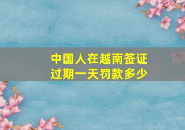 中国人在越南签证过期一天罚款多少