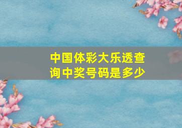 中国体彩大乐透查询中奖号码是多少