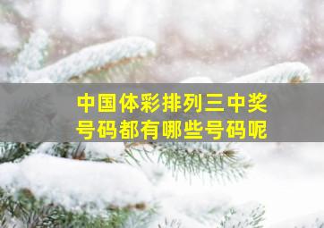 中国体彩排列三中奖号码都有哪些号码呢