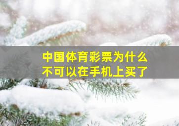 中国体育彩票为什么不可以在手机上买了