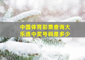 中国体育彩票查询大乐透中奖号码是多少