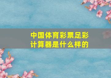 中国体育彩票足彩计算器是什么样的