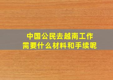 中国公民去越南工作需要什么材料和手续呢