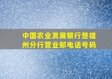 中国农业发展银行楚雄州分行营业部电话号码