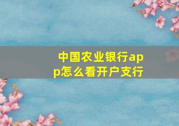 中国农业银行app怎么看开户支行