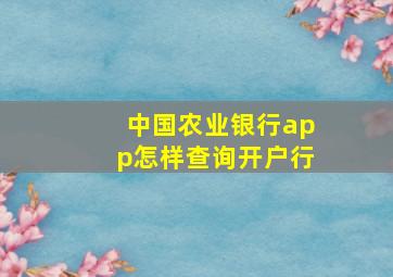 中国农业银行app怎样查询开户行