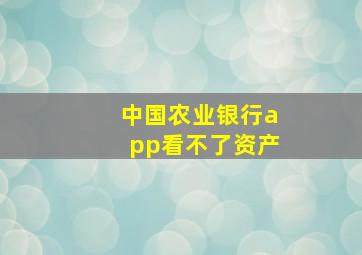 中国农业银行app看不了资产