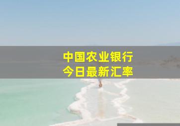 中国农业银行今日最新汇率