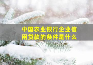 中国农业银行企业信用贷款的条件是什么