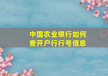 中国农业银行如何查开户行行号信息