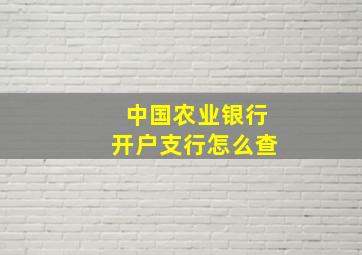 中国农业银行开户支行怎么查