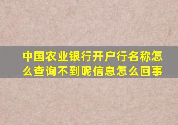 中国农业银行开户行名称怎么查询不到呢信息怎么回事