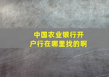 中国农业银行开户行在哪里找的啊