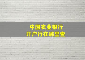 中国农业银行开户行在哪里查