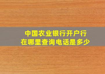 中国农业银行开户行在哪里查询电话是多少