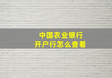 中国农业银行开户行怎么查看