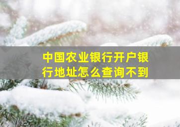 中国农业银行开户银行地址怎么查询不到