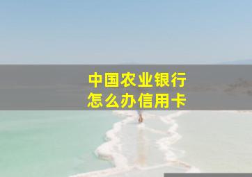 中国农业银行怎么办信用卡