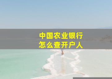 中国农业银行怎么查开户人