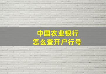 中国农业银行怎么查开户行号