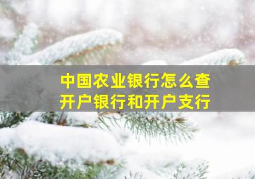 中国农业银行怎么查开户银行和开户支行