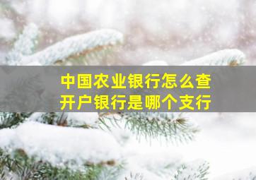 中国农业银行怎么查开户银行是哪个支行