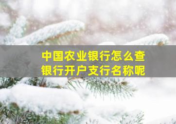 中国农业银行怎么查银行开户支行名称呢