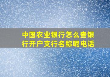 中国农业银行怎么查银行开户支行名称呢电话