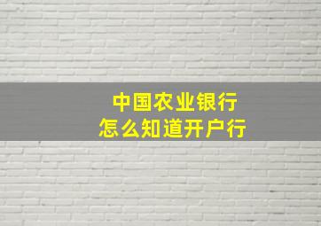 中国农业银行怎么知道开户行