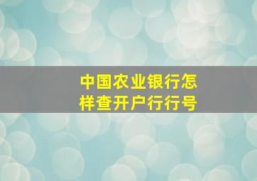 中国农业银行怎样查开户行行号