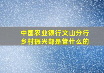 中国农业银行文山分行乡村振兴部是管什么的