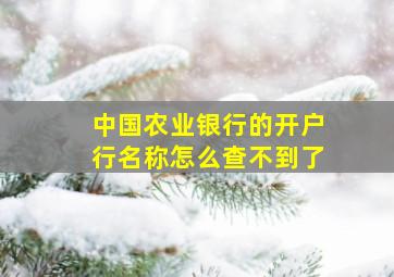 中国农业银行的开户行名称怎么查不到了