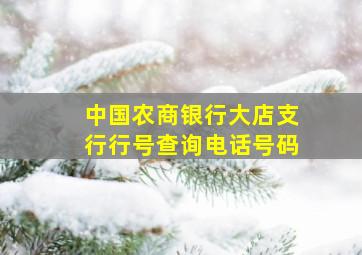 中国农商银行大店支行行号查询电话号码