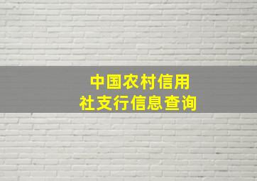 中国农村信用社支行信息查询