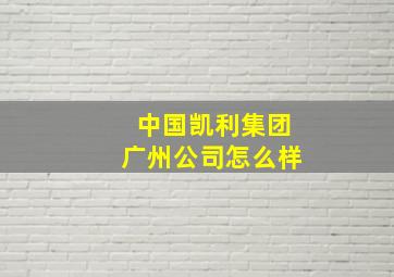 中国凯利集团广州公司怎么样