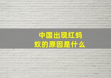 中国出现红蚂蚁的原因是什么