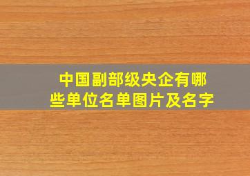 中国副部级央企有哪些单位名单图片及名字