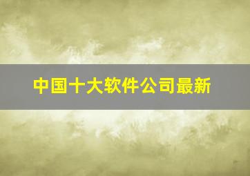 中国十大软件公司最新