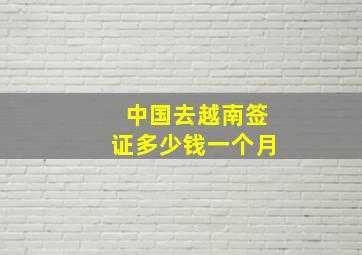 中国去越南签证多少钱一个月