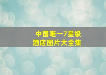 中国唯一7星级酒店图片大全集