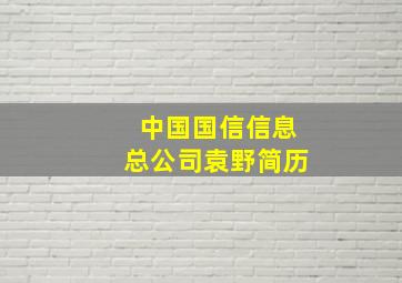 中国国信信息总公司袁野简历