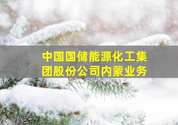 中国国储能源化工集团股份公司内蒙业务