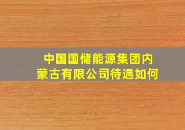 中国国储能源集团内蒙古有限公司待遇如何