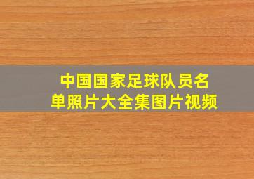 中国国家足球队员名单照片大全集图片视频