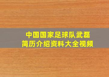 中国国家足球队武磊简历介绍资料大全视频