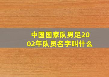 中国国家队男足2002年队员名字叫什么